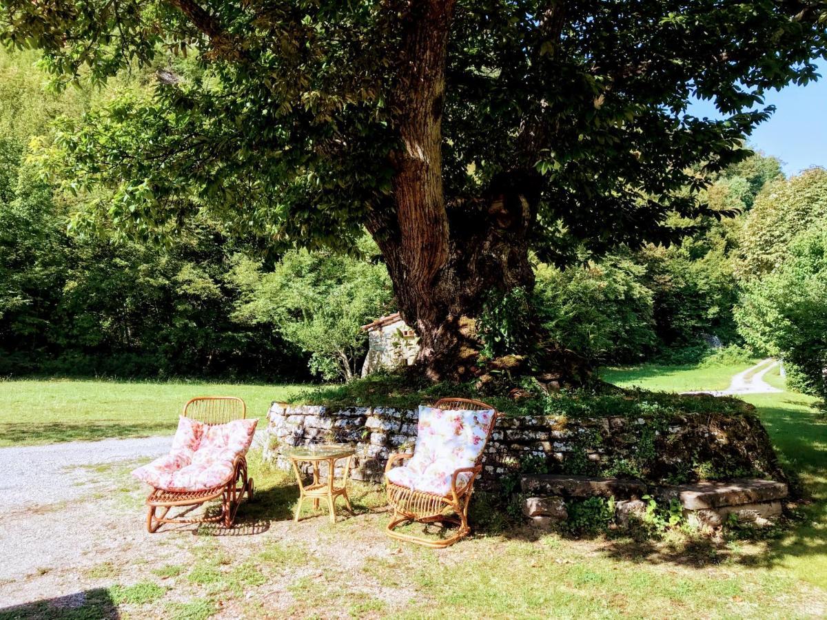 Angolo Di Paradiso B&B Grizzana Kültér fotó